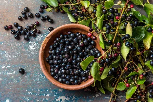 Maqui Berry: Is This Superfruit The New Açai Berry?